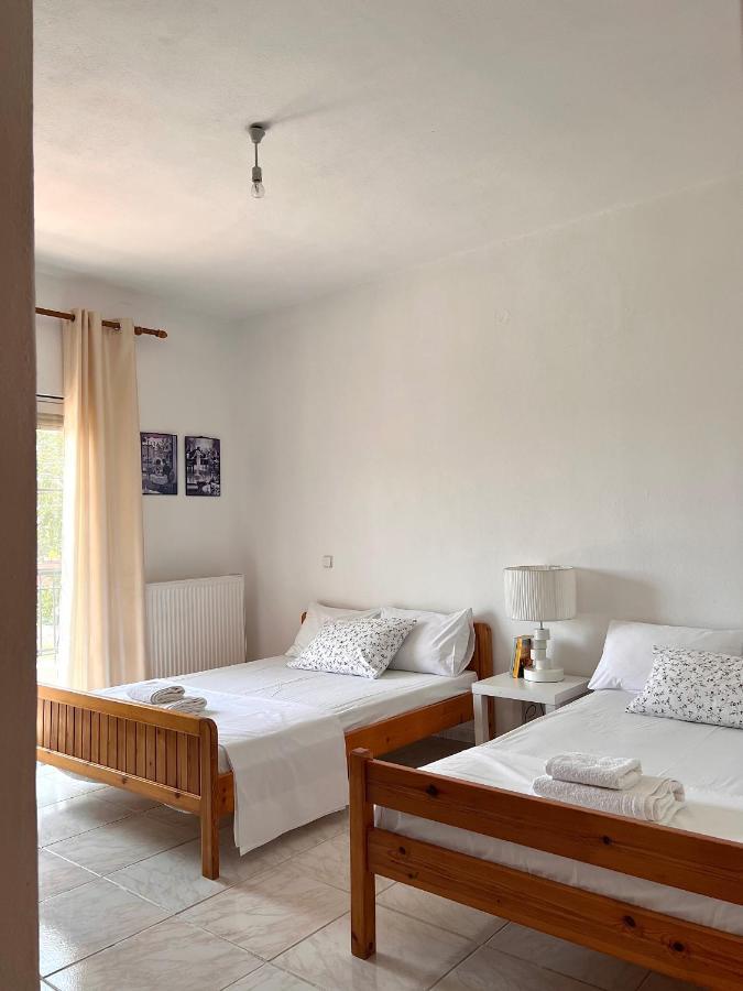 Dimitra House Entire Apartment With Balcony And View Pherrai Buitenkant foto